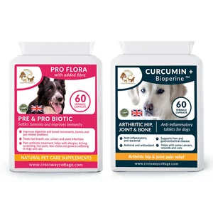 Dog’s Digestion & Immunity, Pre + Probiotic & Curcumin Natural Supplement Bundle - Picture 1 of 4