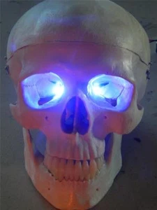 HALLOWEEN PROP OCCHI LED BLU PER MASCHERA O TESCHIO 24 pollici - Foto 1 di 1