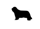 Bearded Collie Dog Shape Wall Sign Wall Art Kennel Plaque in Black