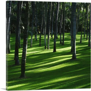 ARTCANVAS Exotic Forest Home Decor Square Canvas Art Print - Picture 1 of 11