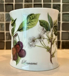 Dunoon Fine Bone China Botanical Fruits Mug, Made in England - 3.5 in. tall - Picture 1 of 7