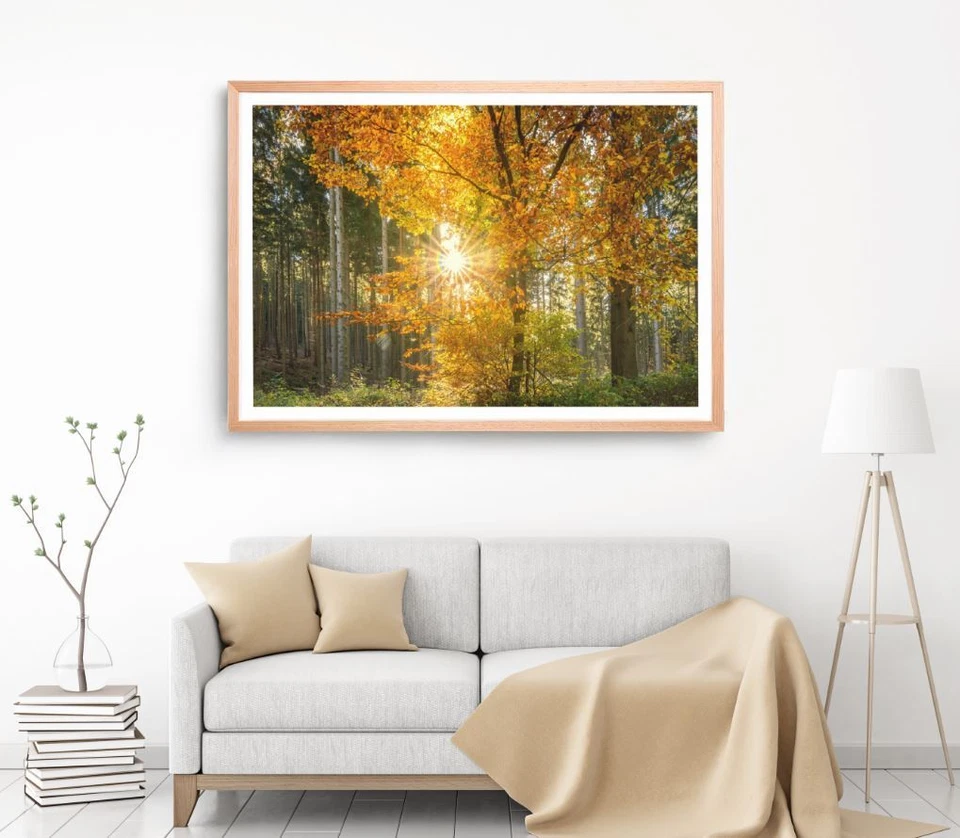 Autumn Trees Print, Forest Wall Art, Nature Tree Framed Nature Wall Art,Natural  - Image 1 of 1