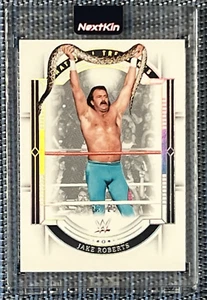 Jake Roberts 90 Holo Silver SSP LOW POP /25 2024 Panini National Treasures WWE. - Picture 1 of 3