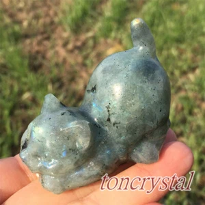 2" Natural Labradorite Cat Skull Carved Quartz Crystal Skull Reiki Healing - Picture 1 of 13
