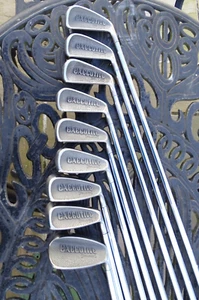 9 LADIES SPALDING EXECUTIVE IRONS .L FLEX WOULD ALSO WORK FOR JUNIORS/SENIORS - Picture 1 of 16