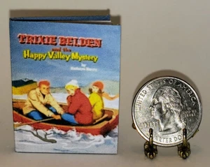 LIBRO IN MINIATURA SCALA 1:6 THE HAPPY VALLEY MYSTERY TRIXIE BELDEN PLAYSCALE - Foto 1 di 8