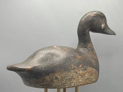 RAOUL PILON (1877-1949) RIGAUD, QUEBEC CABEZA ALTA GOLDENEYE DRAKE (?) PATO ANTIGUO Foto 1 de 4