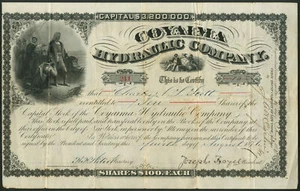 Colombia: Coyaima Hydraulic Company, $100 shares, 1876 - Picture 1 of 1