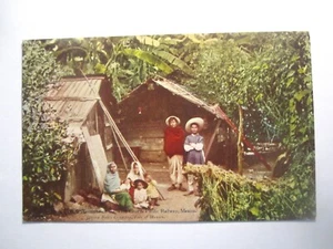 MEXICO, A BANANA PLANTATION, VERA CRUZ - Picture 1 of 1