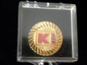 Vintage Kmart 5 yr Service Pin 2 Ruby - Bild 1 von 4