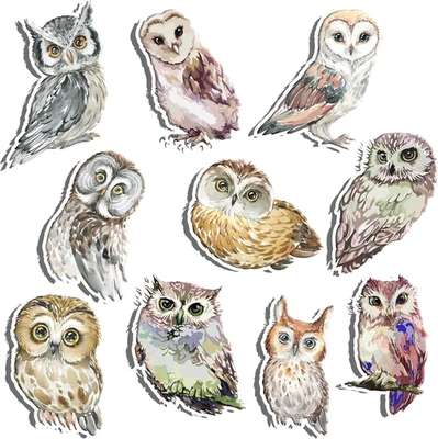 Recortes de búho del bosque - 10 s decoraciones de cartulina de búho realista para baby shower, Foto 1 de 4