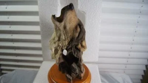 MILL CREEK STUDIOS - "TAPS" WOLF SCULPTURE #7114 - Picture 1 of 10