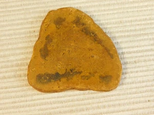 Tempskya Tree Fern Fossil Slab for making Cabochons - Picture 1 of 7