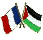 Palestine France Badge Flag Pin Enamel French Palestinian