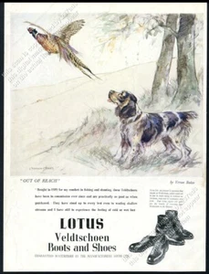 1949 Hund & Fasan Vernon Stokes Kunst Lotus Stiefel Schuhe UK Vintage Druck Anzeige - Bild 1 von 7