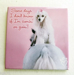 Leanin Tree Refrigerator Fridge Magnet ~ Don't Know If I'm Coming or Going ~NEW - Picture 1 of 2