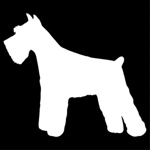 Miniature Mini Schnauzer vinyl decals phone laptop car sticker - Picture 1 of 9