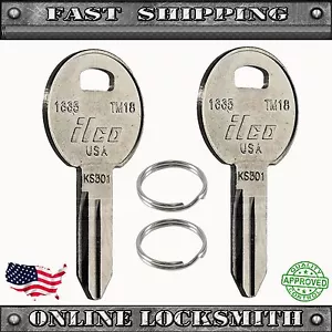 New Pair of RV Keys - Trimark TM18 / 1665 / TRM-15D - Recreational Vehicle KS301 - Bild 1 von 2
