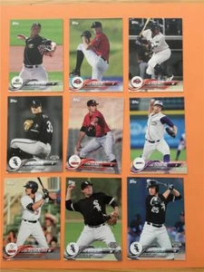 2018 Topps Pro Debut Chicago White Sox Team Set 9 Cards Minor League - Picture 1 of 1