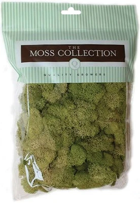 Quality Growers Preserved Reindeer Moss 108.5 Cubic Inches-Spring Green - QG2060 - Image 1 of 2