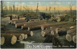 1910s Postcard MT CLEMENS MICHIGAN Logging Camp Loggers & Timber Unposted - Picture 1 of 2