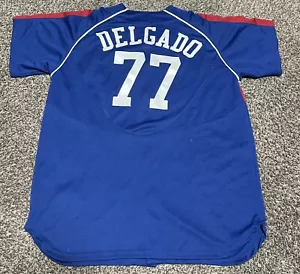 Nike Chicago Cubs Delgado #77 Jersey Vintage Blue XL National - Picture 1 of 4