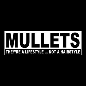 "MULLETS - THEY'RE A LIFESTYLE ... NOT A HAIRSTYLE" redneck funny BUMPER STICKER - Picture 1 of 1