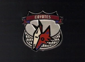 Defunct Phoenix (Arizona) Coyotes logo  ''SILVER Shield''  NHL Hockey pin - Picture 1 of 1