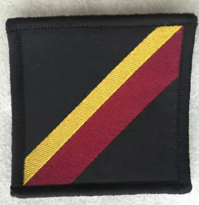 Fuerza de Policía de Hong Kong HKPF PTU Boina Bordado Emblema TRF/parche/Insignia Tipo B - Imagen 1 de 12