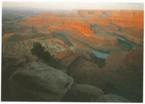 Postcard Utah Moab Dead Horse Point State Park Unused MINT  - Picture 1 of 1
