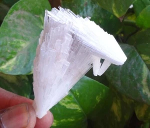 Scolecite Spray Minerals Specimen India - Picture 1 of 6