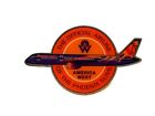 VTG American Airlines Phoenix Suns Lapel Pin Advertise Airplane NBA Basketball