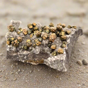 Esemplare di pirite e calcite - Marocco - 5x8x1 cm - Foto 1 di 4
