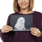 A5 - White Fluffy Cat Kitten Portrait Print 21x14.8cm 280gsm #16911