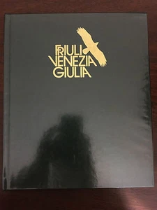 FRIULI VENEZIA GIULIA. UNA REGIONE A SERVIZIO COMPLETO - AA.vv. - La Editoriale - Picture 1 of 1