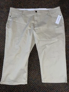LIZ CLAIBORNE SARA CROP NO RISE FLEX FIT WAISTBAND SIZE 20W BEIGE PANTS (B62) - Picture 1 of 3