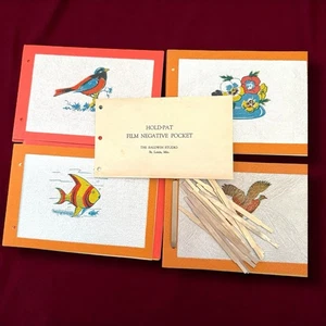 Deko Fotoalbum Lot Vintage Hold-Pat Film Aufbewahrung Baldwin Studio St Louis - Bild 1 von 10