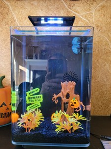 marineland 38 gallon aquarium starter kit