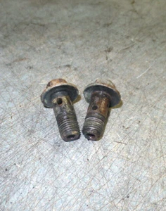 1992-1994 Corvette Heads Cooling Pipe Mounting Screws, (2), GM ORIGINAL - Picture 1 of 1