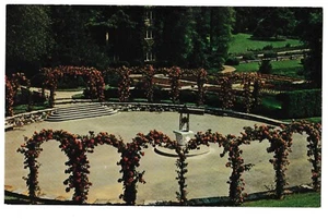 American Pillar Roses LONGWOOD GARDENS Kennett Square PA Pennsylvania Postcard - Picture 1 of 2
