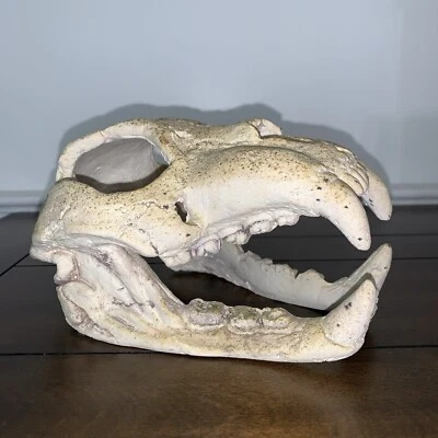Handmade Jurassic Dinosaur Skull Halloween Monster Scifi Horror Home Decor - Image 1 of 4