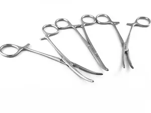 3 Carmalt Forceps Curved 6.3/4" Hemostatic Surgical Veterinary Instruments - Picture 1 of 4