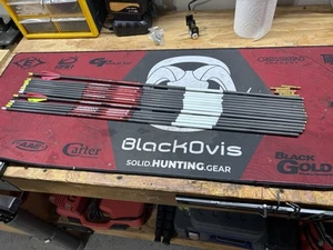Bloodsport Judgement Arrows .001 straightness 300 Spine, brass inserts installed - Picture 1 of 10