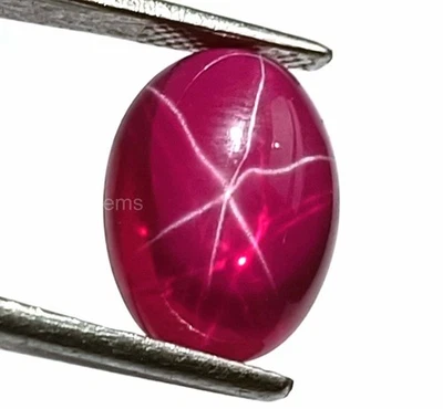 "Collector’s 8.65 Ct 6 Rays Star Ruby Faceted Oval Cut Natural Loose Gems 5SDG - Image 1 of 4
