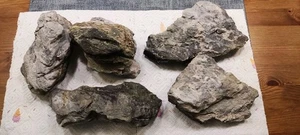 Seiryu Aquarium Natursteine Aquascaping - Bild 1 von 2