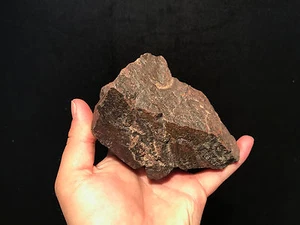 Superbe Meteorite Chondrite NWA du Sahara de 1263 Grammes!! - Imagen 1 de 3