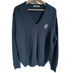 Carlton Blues Club Knit Jumper - Merino Blend AFL Pullover V Neck Sweater Size L - Picture 1 of 8