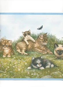 Kitten / Kittens and Playmates with Blue Edge Cat Wallpaper Border YK0131BD - Picture 1 of 2