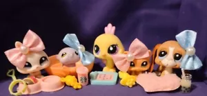Authentic Littlest Pet Shop LPS CARE FOR ME 2016 2017 2018 2019 2020 Kitten Dog - Picture 1 of 11