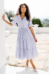 NWT Ivy City Co Sutton Dress In Pinstripe Retro Size 10 Medium - Picture 1 of 7